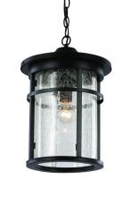 Trans Globe 40386 BK - 1LT HANGING LANTERN-LG-SEEDED